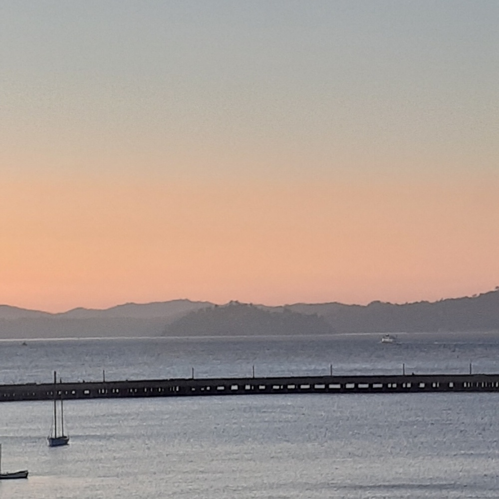 Meet your Posher, Maddie